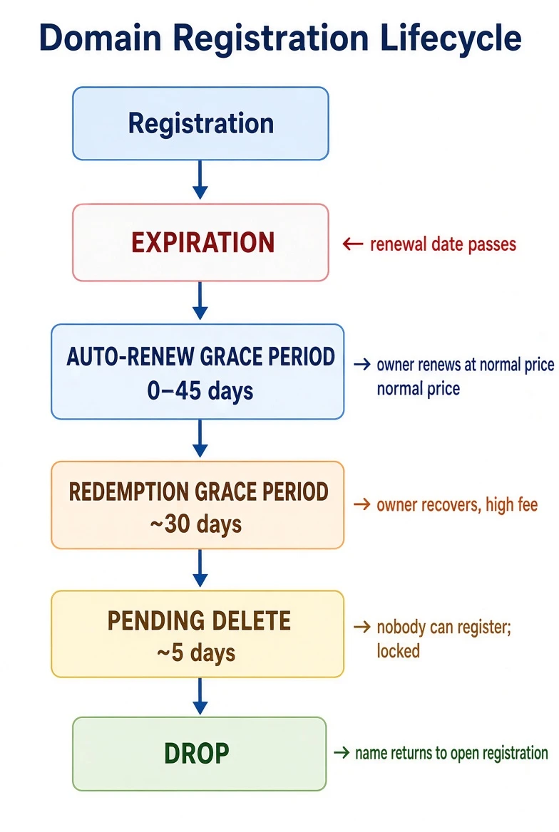 domain registration lifecycle